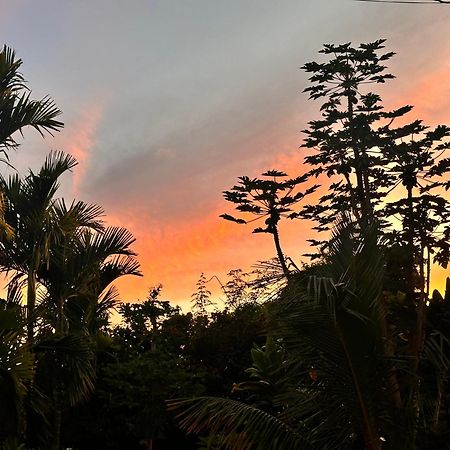 Hawaiian Ohana Home Hilo Buitenkant foto