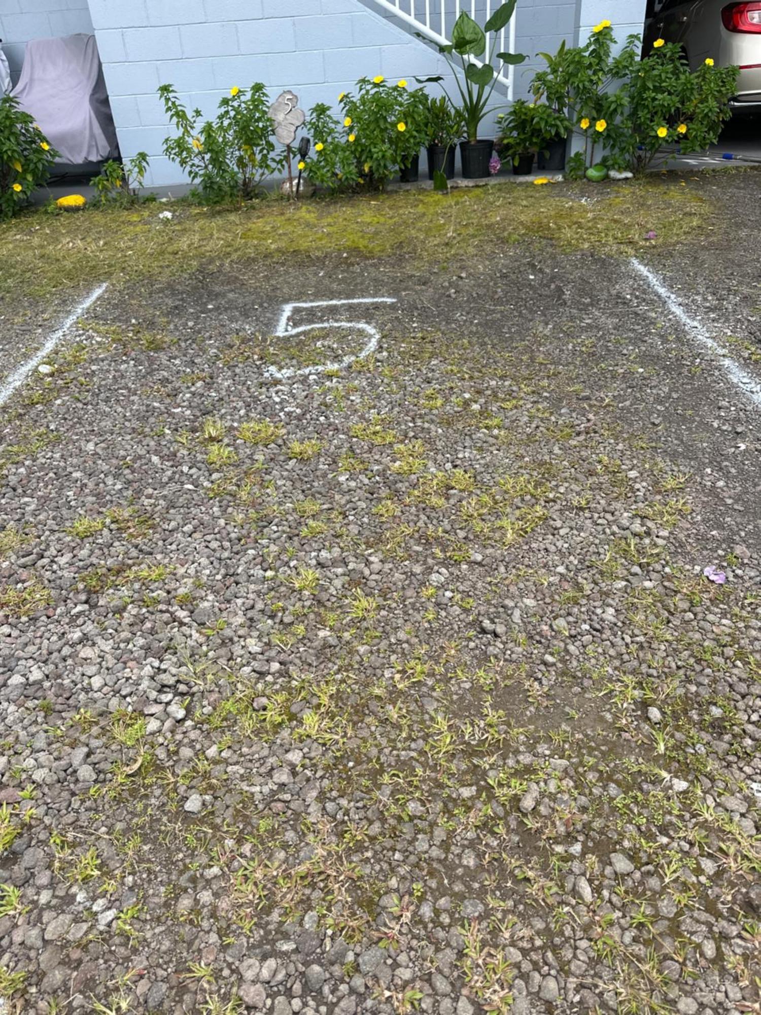 Hawaiian Ohana Home Hilo Buitenkant foto